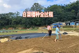 蔬菜播种详细过程，希望对你们有用#记录我的乡村生活#夫妻日常视频封面