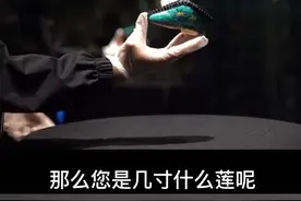 三寸金莲有多大，一起来看看，网友：我是38寸的霸王莲🤣#开眼界了 #今日分享 #三寸金莲 #实在不敢相信这是真的 #不可思议 @抖音短视频视频封面