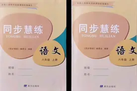 小学六年级上册语文同步慧练及单元测试卷答案及解析南方出版社视频封面