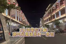 2分钟带你了解单丛茶的发源地，潮州市凤凰镇茶叶一条街#凤凰单丛视频封面