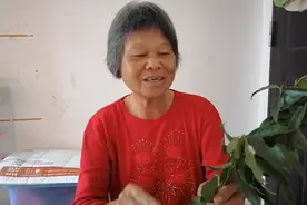 识的就是宝，不认识的就是草视频封面
