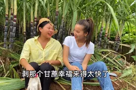 闺蜜为了帮哥哥介绍对象，说帮美女剥20亩甘蔗都没问题，笑死了视频封面