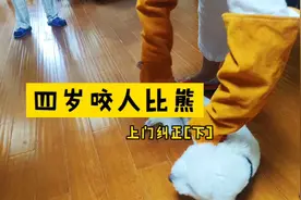 #上海训犬师 #萌宠出道计划 #比熊 狗狗咬人问题顺利解决视频封面