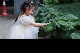 暑期防骗指南，小朋友们学起来视频封面