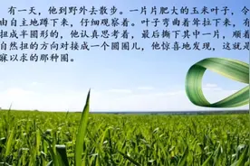 优质课例北师大版六年级下册数学《神奇的莫比乌斯带》分享视频封面