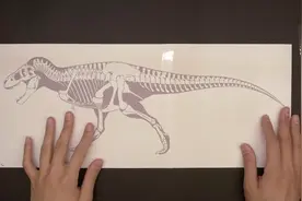 3D打印笔制作霸王龙骨架，有手有笔我也做不来视频封面