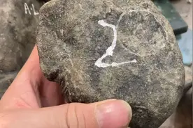 这样皮壳的莫西沙料子，切开种水是什么样的#翡翠#翡翠原石