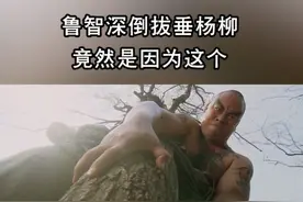 鲁智深倒拔垂杨柳，竟然是因为它视频封面