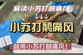@郭良兴 解读小苏打致鹅痛风原因及治疗方案！ #三农视频封面