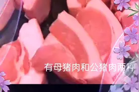大家好:马上过年了，我教大家怎么辨别公猪母猪肉。视频封面