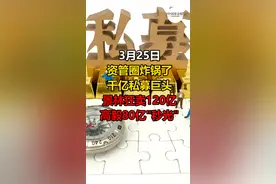 景林狂卖120亿，高毅80亿秒光！#私募又火了#景林资产#高毅资产#紫金矿业#拼多多#中通快递#好未来#中概股视频封面