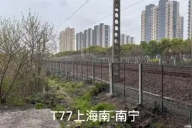晚点的沪邑特快T77（上海南-南宁）通过海涛路桥。#沪昆铁路