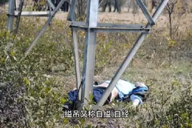 法医释疑：什么是“缢吊”?尸检能查出自杀他杀吗视频封面