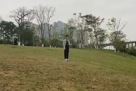 小太阳鹦鹉户外盘飞 ，带合法标识#手养鹦鹉 #萌宠