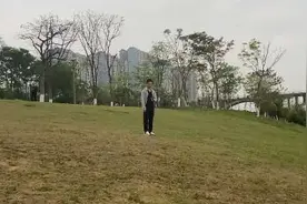 小太阳鹦鹉户外盘飞 ，带合法标识#手养鹦鹉 #萌宠
