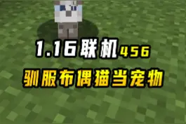 我的世界1.16联机456：驯服布偶猫，给大背头当宠物，他会喜欢的 #我的世界