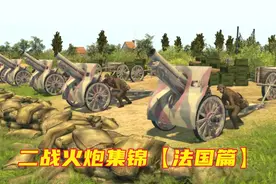 二战火炮集锦------【法国篇】视频封面