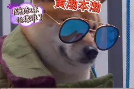 狗中黄渤孙红雷🈶️视频封面