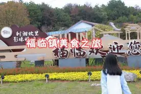 长沙县福临镇美食之旅，真的太好吃了！#长沙美食 #旅行推荐官视频封面