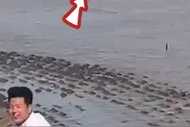 5月3日，上海。涨潮时情侣正在水中亲热，把保安急得都破音了！网友：这海枯石烂的爱情～视频封面