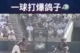 棒球投手的爆发力有多强？看看这只倒霉的鸽子就知道了...#mlb视频封面