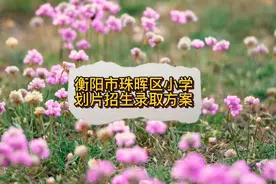 2022衡阳市珠晖区小学划片招生录取方案视频封面