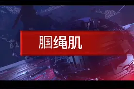 腘绳肌的简介