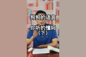 狗狗的六种叫声代表什么，你能听懂几种，了解狗狗行为心理，走进狗自内心世界（下集） #宠物知识 #狗狗行为心理#狗语者 视频封面