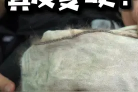 真皮衣服变硬了，有办法变回软吗？教你一招，还能再穿10年#洗衣服视频封面