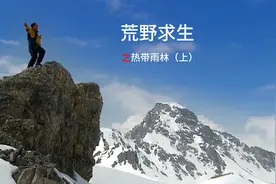 一根人怎么在热带雨林中生存？（上集）#荒野求生 #野外探险视频封面