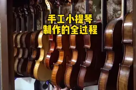 一把上好的小提琴从选材到成品，全程手工制作视频封面