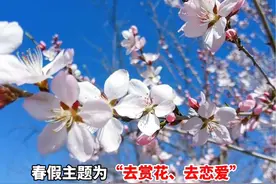 青岛一高校放七天#春假，校方：让学生去赏花，去恋爱！你的学校有春假吗？#和春天有个约会#春天来了@抖音短视频视频封面