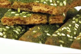 6月30日，山东青岛遭最大规模浒苔侵袭。浒苔是一种富含蛋白质的生物。可食用，也可药用，可以制作成多种有机肥。视频封面