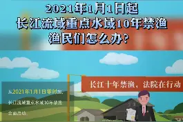 2021年1月1日起，长江流域重点水域10年禁渔！渔民们该怎么办？#守护正能量  #不负春光努力向前视频封面