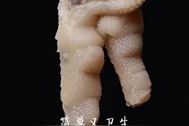 学会这个我们四川地道的泡椒凤爪，你再也不用去超市买了！自己在家做简单又卫生！#泡椒凤爪 