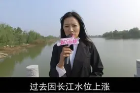 🔥西流河人转起来🔥视频封面