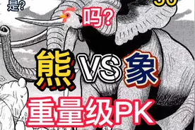 《真异种格斗大战》50 大象VS熊 熊居然侮辱大象的鼻子是?