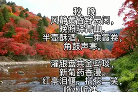 眼儿媚（词牌）：秋晚视频封面