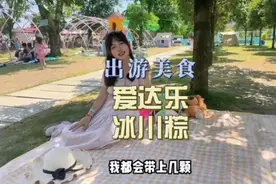 爱达乐冰川粽我真的好喜欢！各种馅料高颜值又好吃视频封面