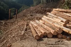 怎么这样子视频封面