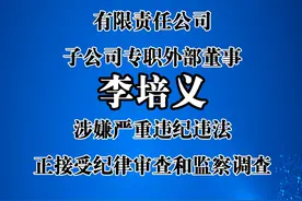 甘肃省电力投资集团有限责任公司子公司专职外部董事李培义#严重违纪违法接受#审查调查 #甘肃电力 @抖音短视频 视频封面