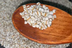 炒薏米20分钟了还是没有变成金黄色的，米香味很浓了哦