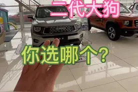 一代大狗和二代大狗怎么选？#哈弗大狗 #每天推荐好车 #二代大狗视频封面
