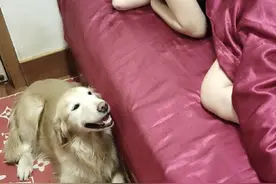 看到女主人睡觉突然打喷嚏 狗狗生怕主人着凉了 把被子拽过去给她盖上 这狗真是好有爱啊感动得主人一阵泪目#萌宠出道计划 #神奇动物在抖音 #萌宠成精了 #动物也有爱 #万物皆有灵性视频封面