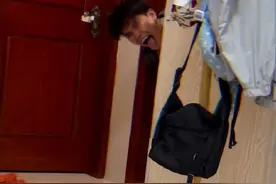 果然只有狗能打败“🐶”#萌宠出道计划视频封面