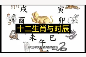 十二生肖与时辰视频封面