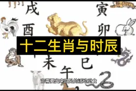 十二生肖与时辰视频封面