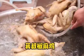 麻椒鸡和椒麻鸡你们能分清楚吗视频封面