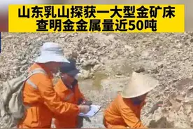 山东乳山探获一大型金矿床，查明金金属量近50吨！#山东乳山 #金矿 @抖音短视频视频封面