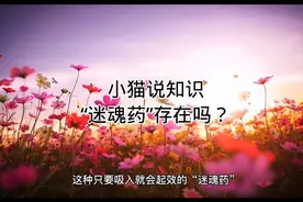 难道世界上真的有“迷魂药”怎么可能呢？视频封面